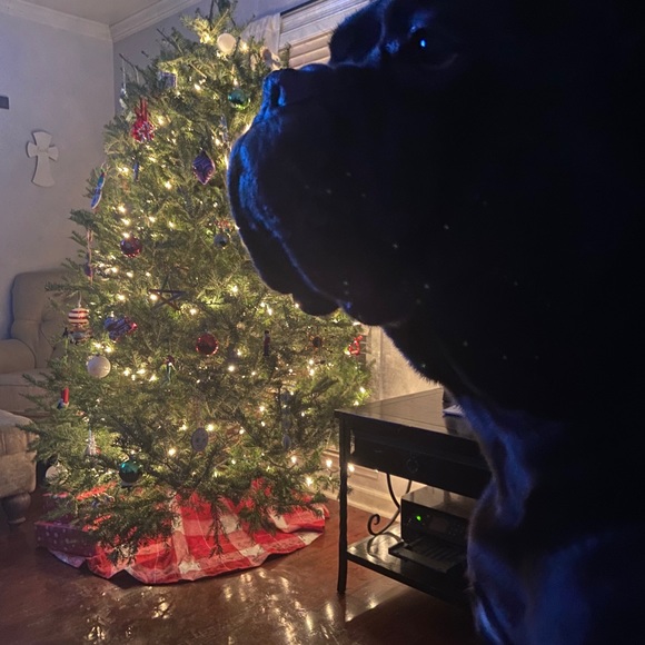 Southern Girl 🌻 Gypsy Soul 💃🏼 Rocker Chic 🎸 - Picture 11 of 11